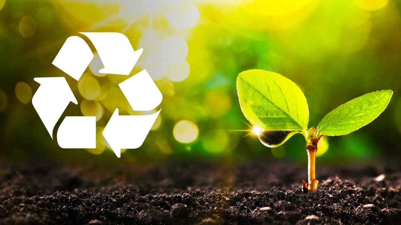 Responsabilitate ecologică